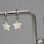 Shining Star Stainless Steel Earrings