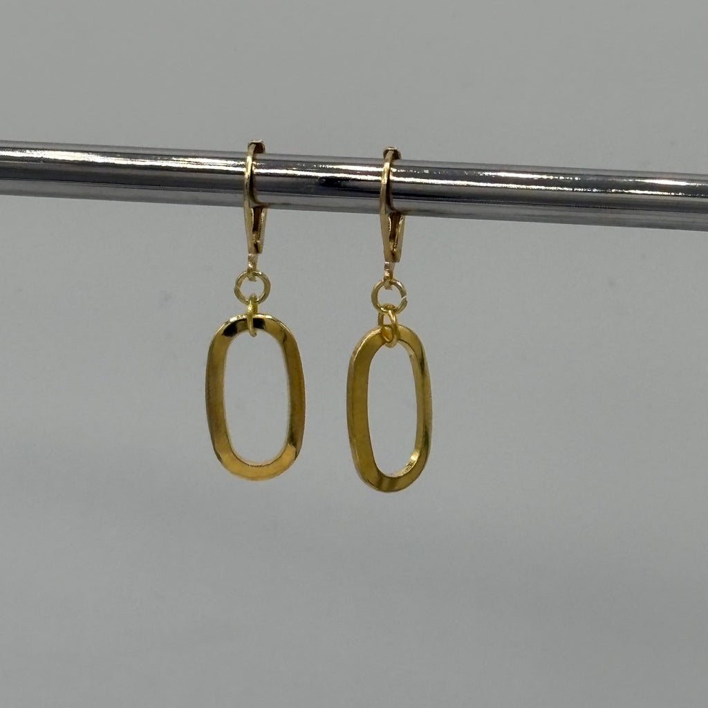 Oval Loop Stainless Steel Earrings