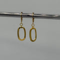 Oval Loop Stainless Steel Earrings
