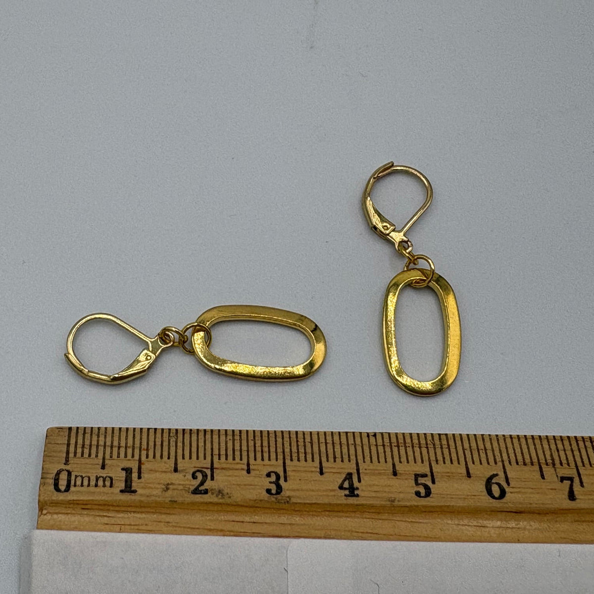 Oval Loop Stainless Steel Earrings