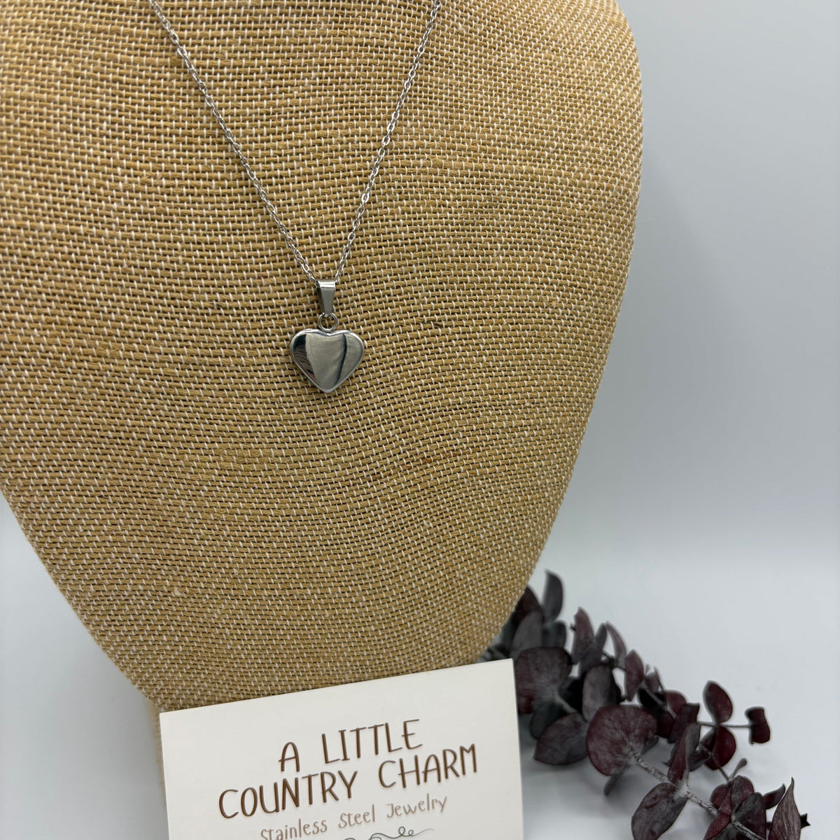 Glossy Heart 18" Stainless Steel Necklace