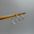 Twisted Hoop Stainless Steel Earrings