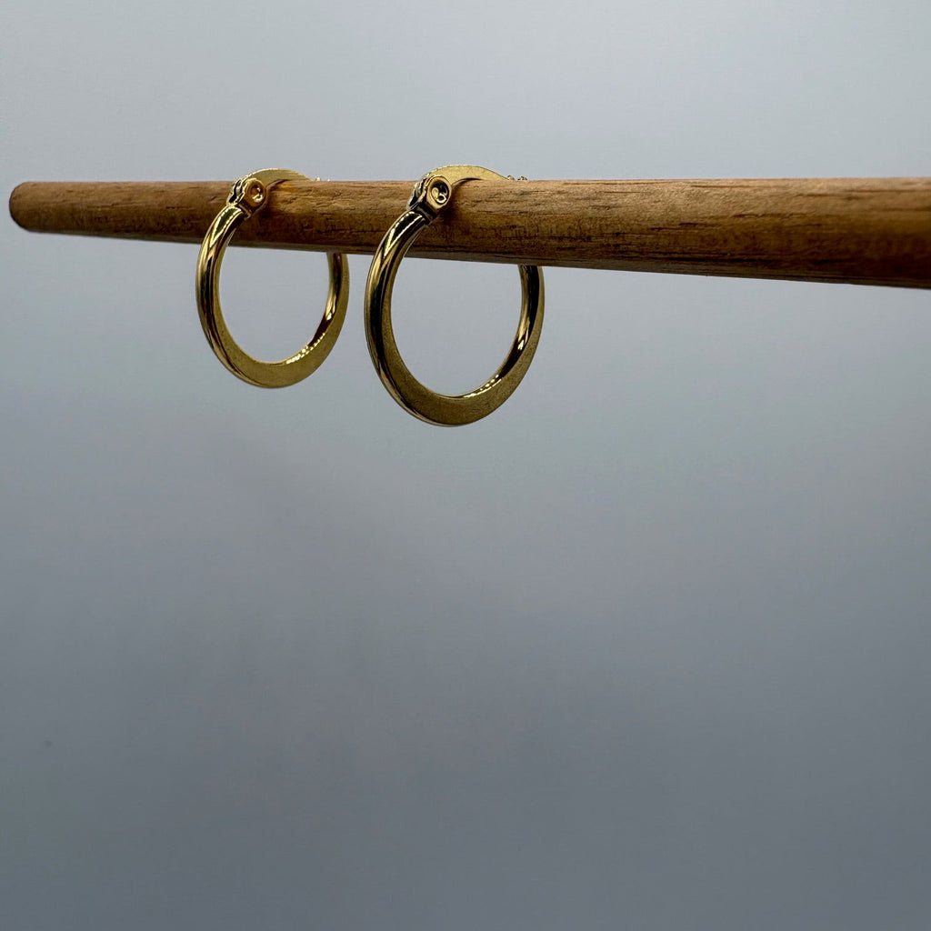 Crescent Hoop Stainless Steel Earring
