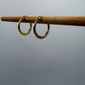 Crescent Hoop Stainless Steel Earring