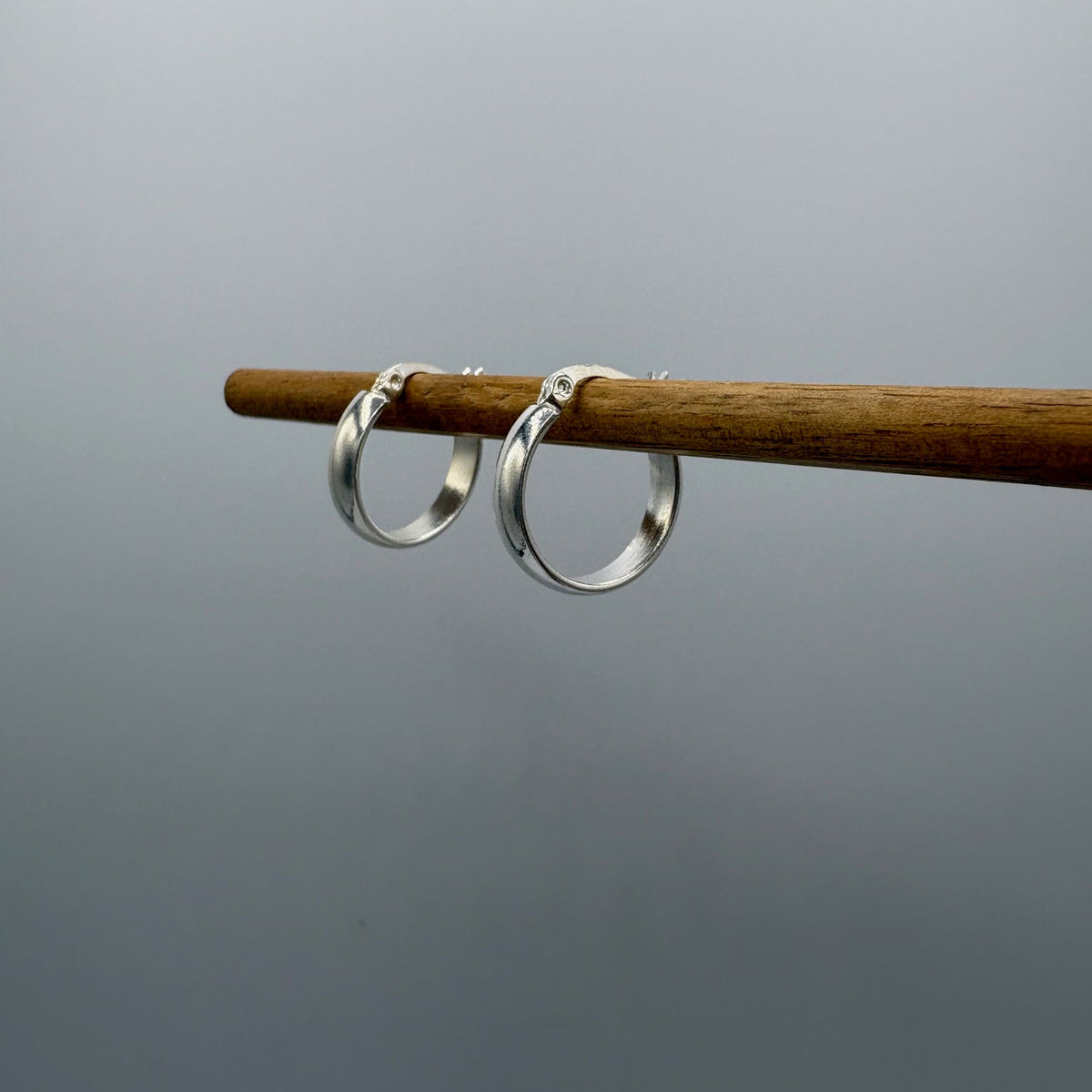 Moonlight Hoop Stainless Steel Earrings