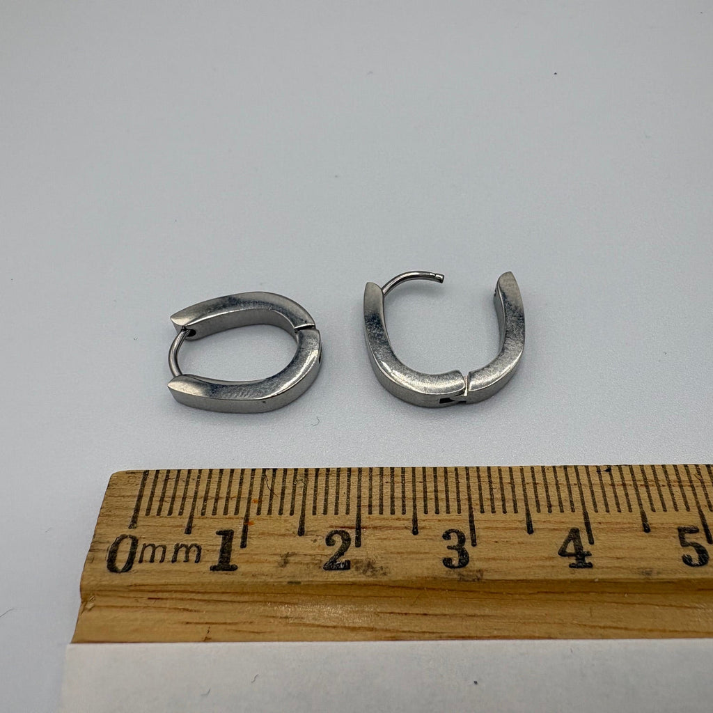 Horseshoe Hoop Stainless Steel Earrings