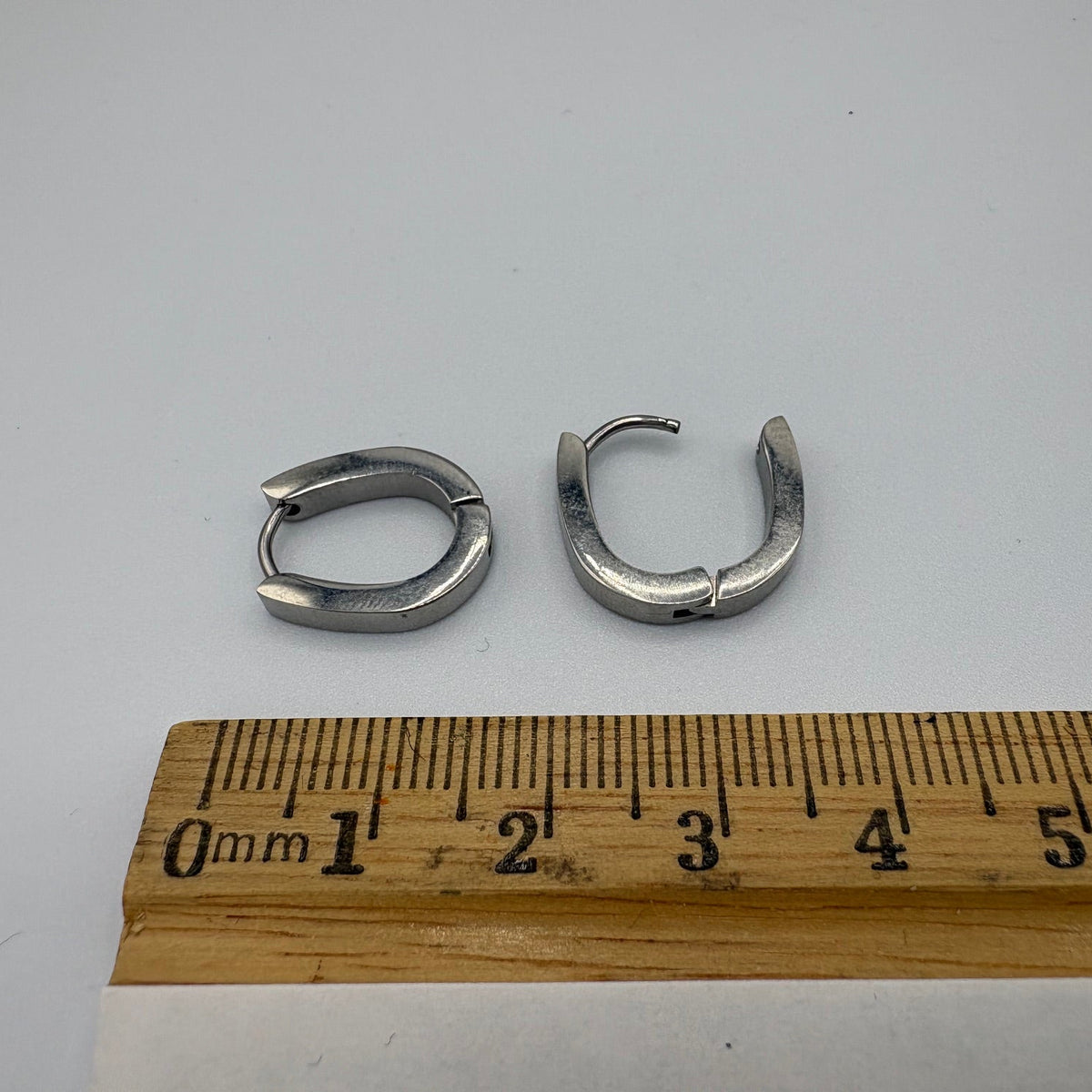 Horseshoe Hoop Stainless Steel Earrings
