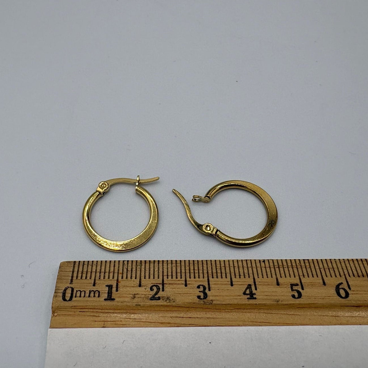 Crescent Hoop Stainless Steel Earring
