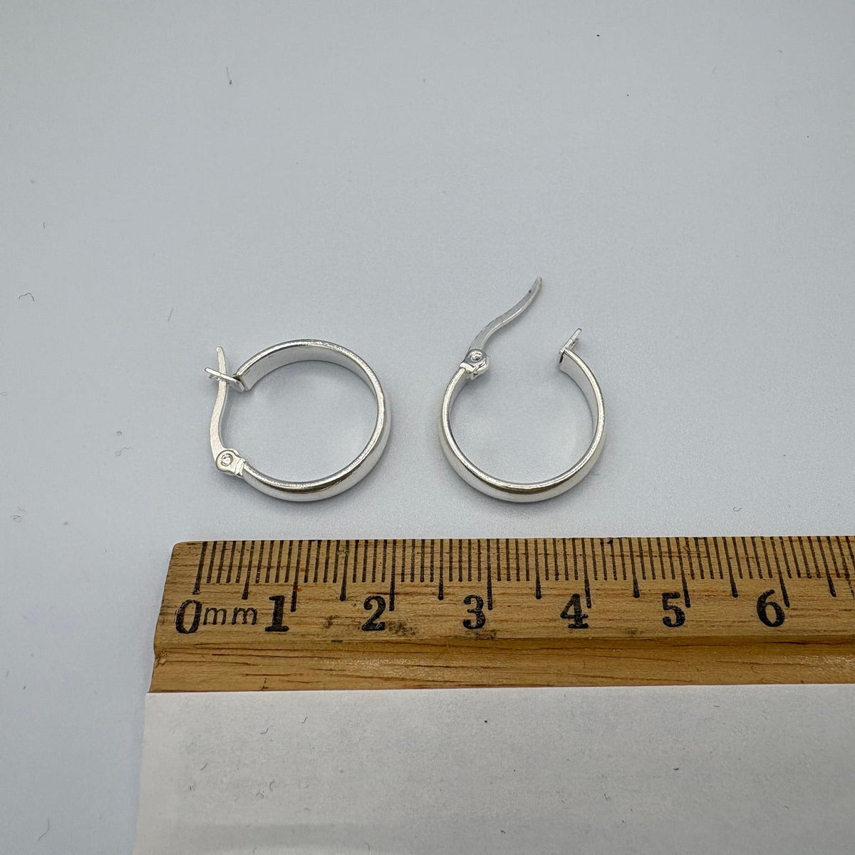 Moonlight Hoop Stainless Steel Earrings
