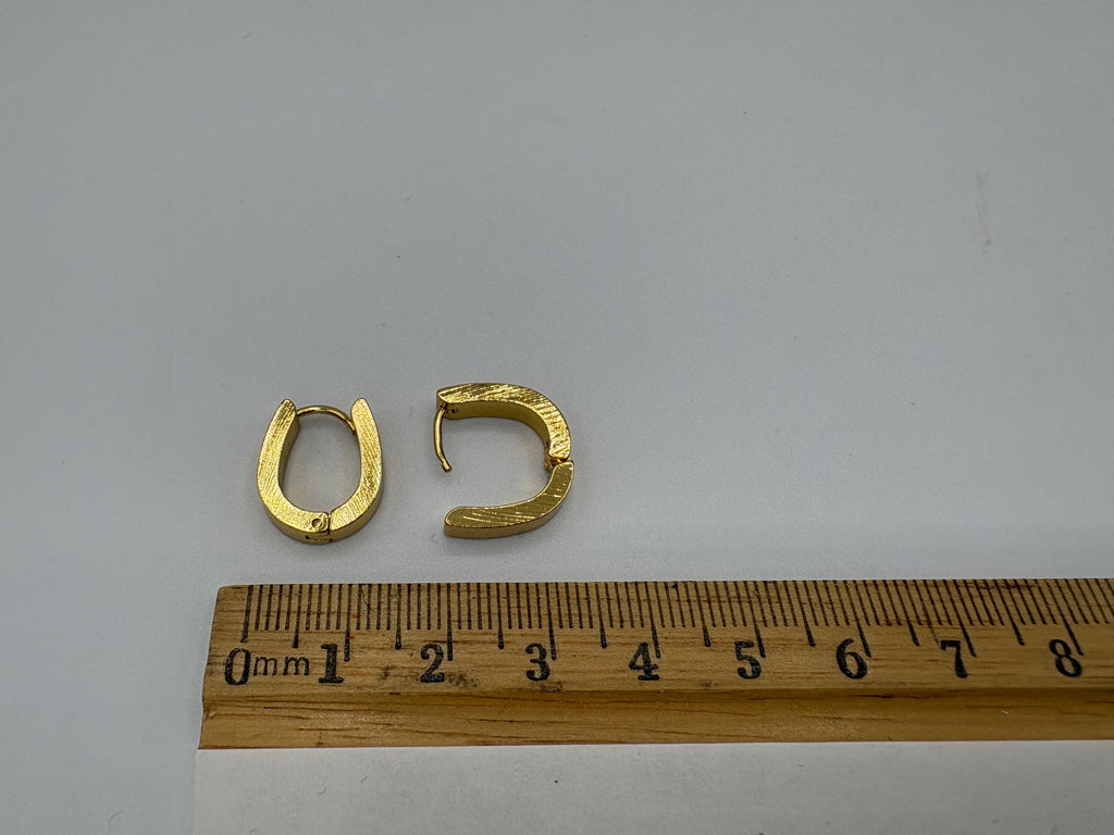 Royal Hoop Stainless Steel Earrings