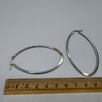Loopy Hoop Stainless Steel Earrings